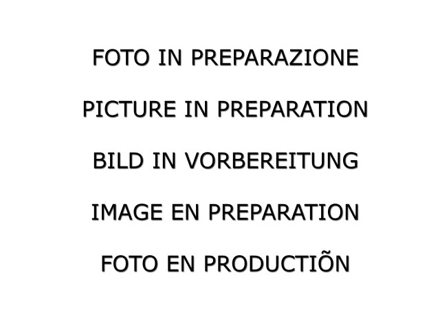 passt für Mini F56 2014>> Endschalldämpfer inox mit zentralem ER 129 mm Sport Line, für JCW 2.0 (170kW) 2014>>07/2018